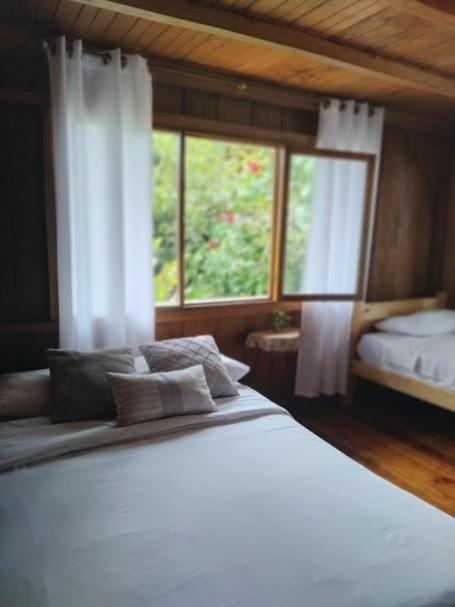 Hotel The Temple Iii, Mindo Extérieur photo
